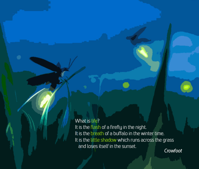 the flash of a firefly