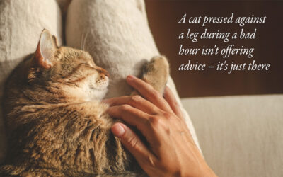 Animals & pets