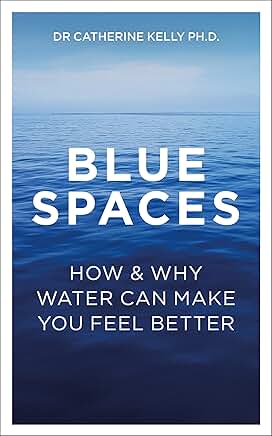 Blue Spaces book cover