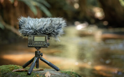Natural sounds